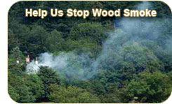 Clean Air Revival
