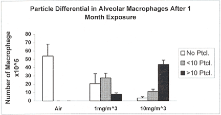 Effects of PAH's