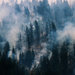 The Blue Creek wildfire, burning near Walla Walla, Wash., this month.