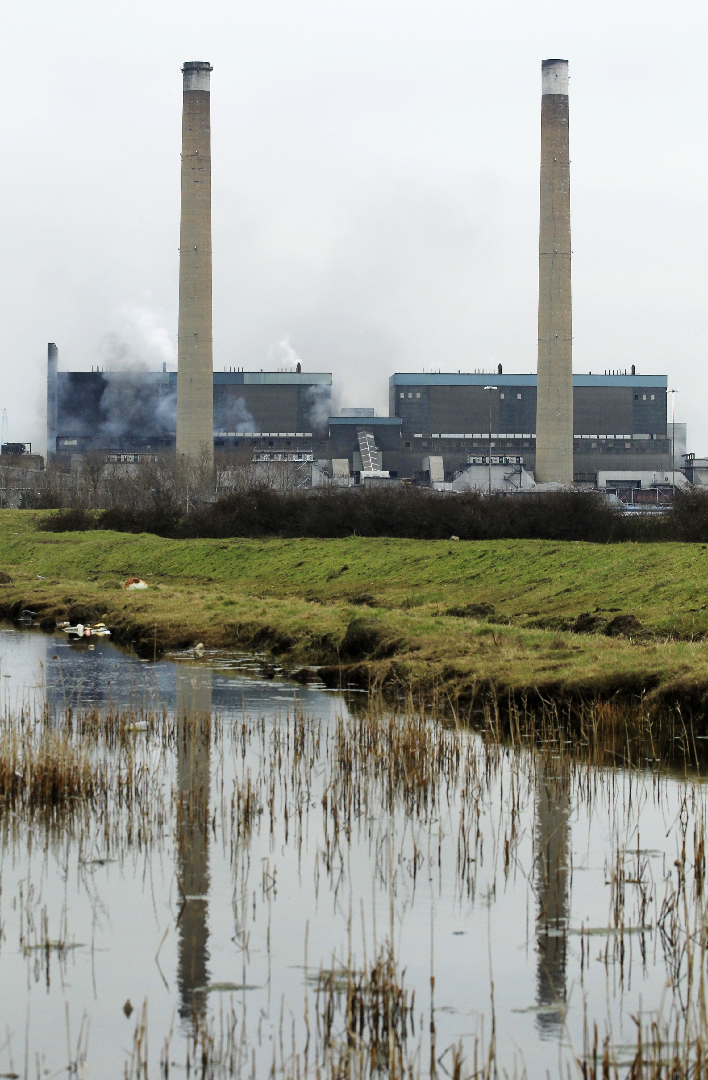 biomass wood power plant