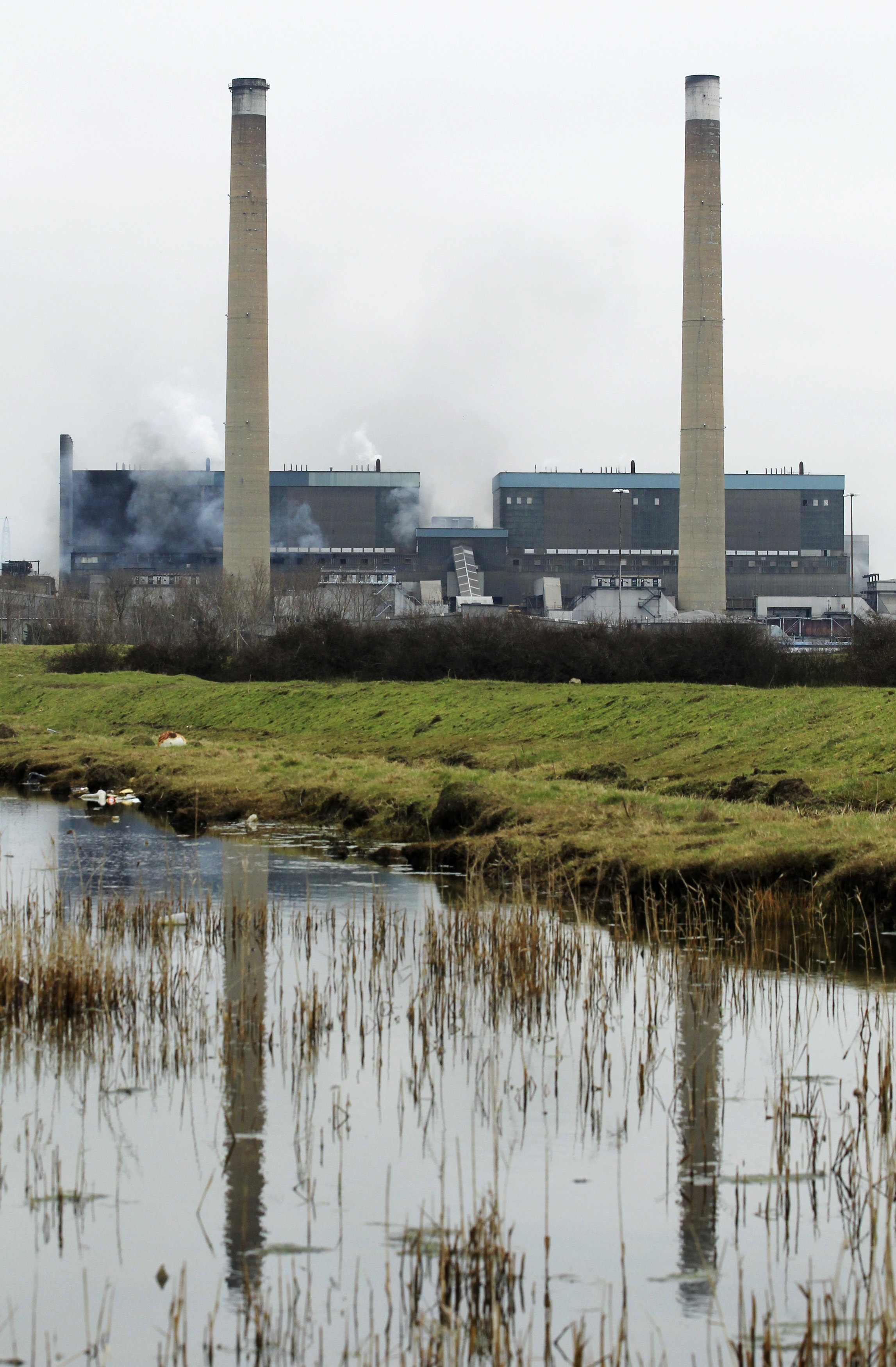 biomass wood power plant